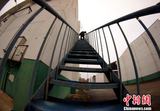 中央儲備糧江西泰和直屬庫有限公司保管員在倉庫巡查?！⊥蹶魂?攝